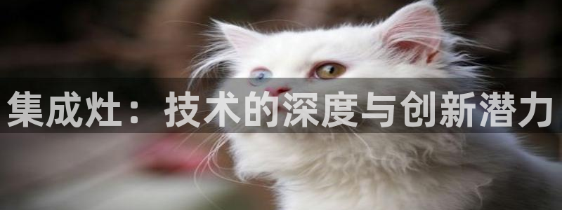 集成灶：技术的深度与创新潜力