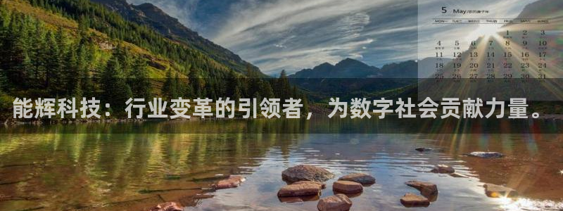 能辉科技：行业变革的引领者，为数字社会贡献力量。