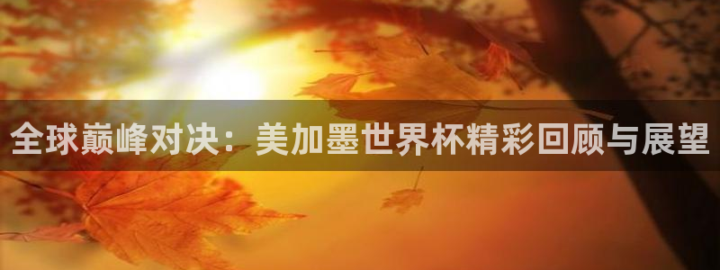 全球巅峰对决：美加墨世界杯精彩回顾与展望