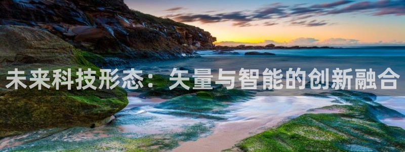未来科技形态：矢量与智能的创新融合