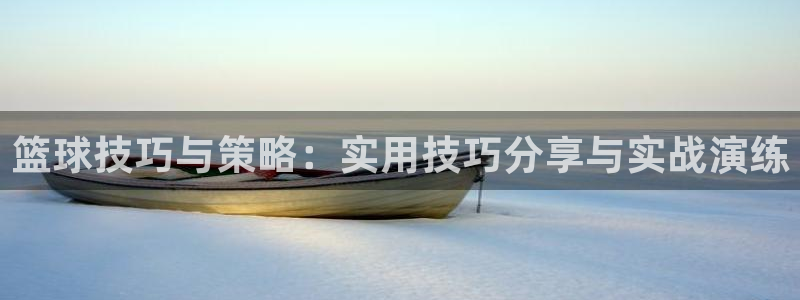 篮球技巧与策略：实用技巧分享与实战演练