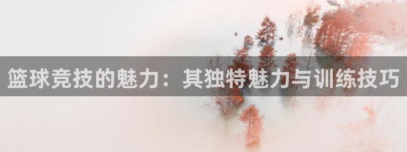 篮球竞技的魅力：其独特魅力与训练技巧