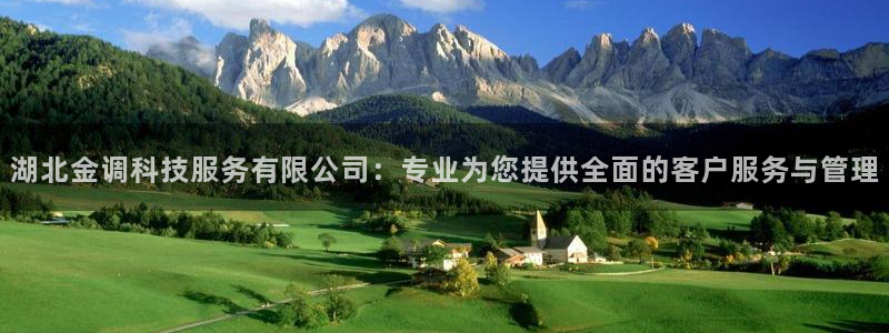 湖北金调科技服务有限公司：专业为您提供全面的客户服务与管理