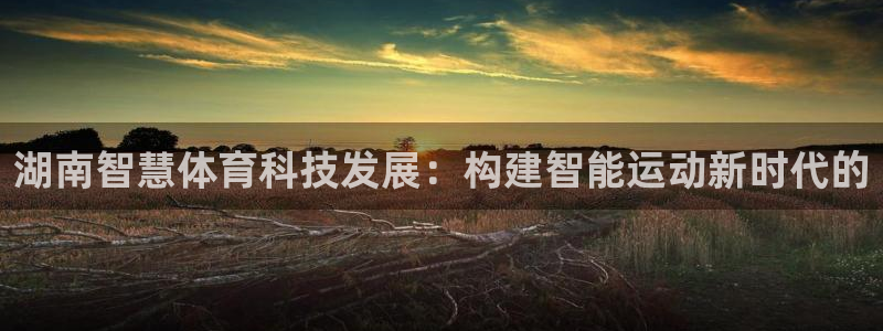 湖南智慧体育科技发展：构建智能运动新时代的