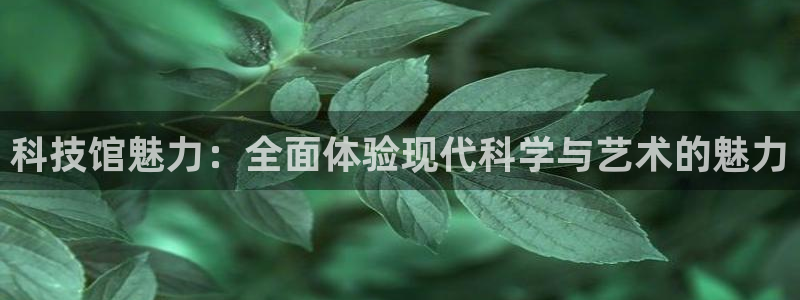 科技馆魅力：全面体验现代科学与艺术的魅力