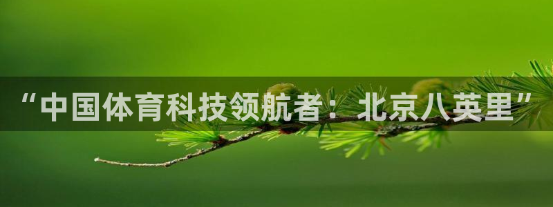 “中国体育科技领航者：北京八英里”