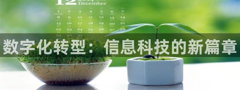 数字化转型：信息科技的新篇章