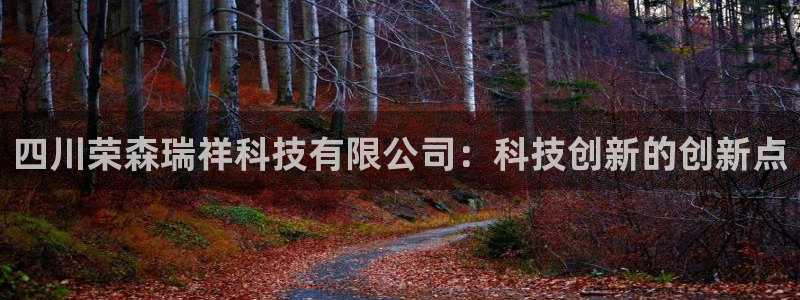 四川荣森瑞祥科技有限公司：科技创新的创新点