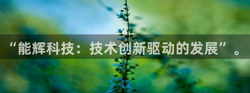 “能辉科技：技术创新驱动的发展”。