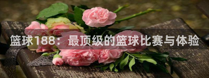 篮球188：最顶级的篮球比赛与体验