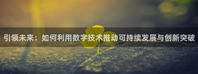 引领未来：如何利用数字技术推动可持续发展与创新突破