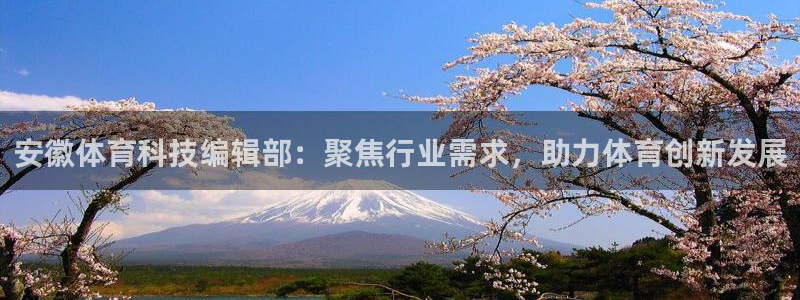 安徽体育科技编辑部：聚焦行业需求，助力体育创新发展